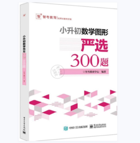 小升初数学图形:严选300题PDF电子版文档下载 百度网盘